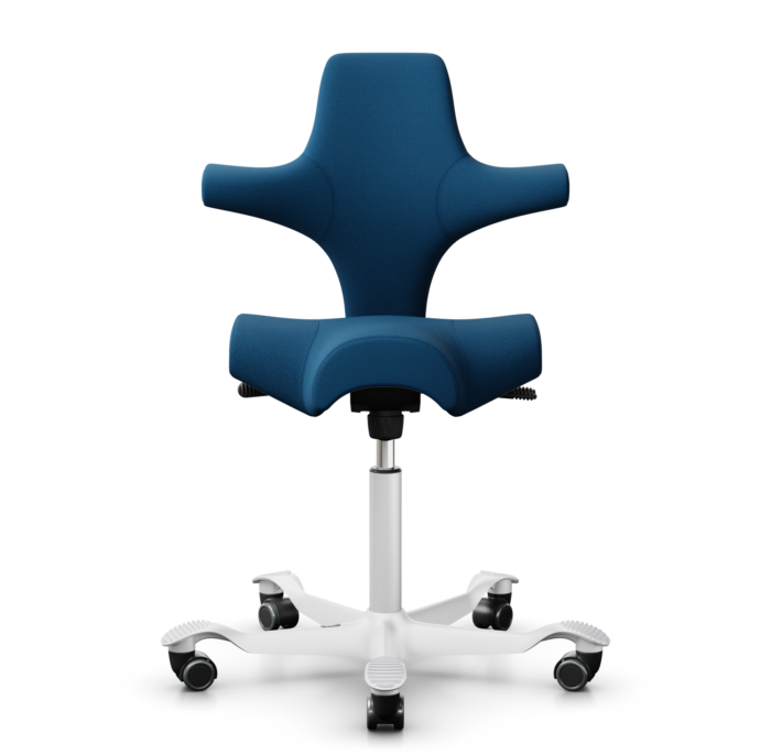 Siège de bureau ergonomique Caspisco